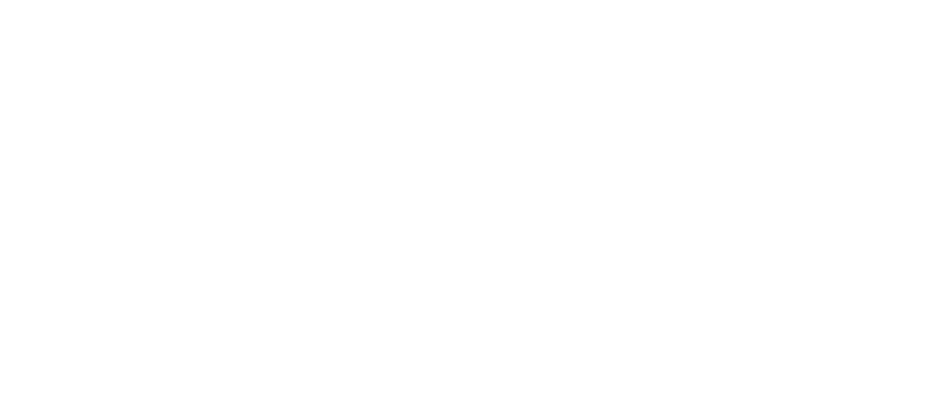 woollyvillain-logo